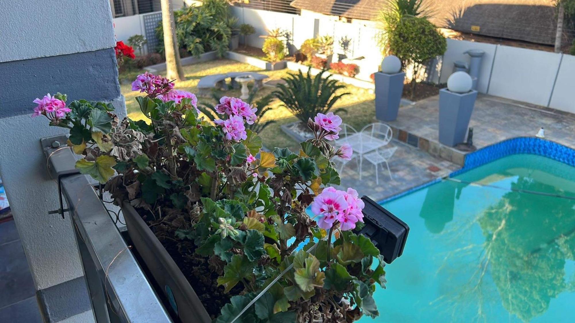 2 Op Terblanche Guesthouse 복스버그 외부 사진